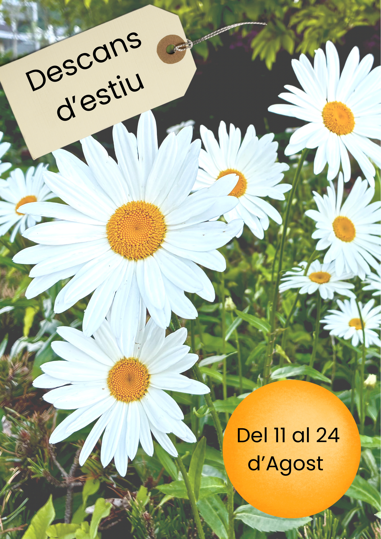 Descanso de verano